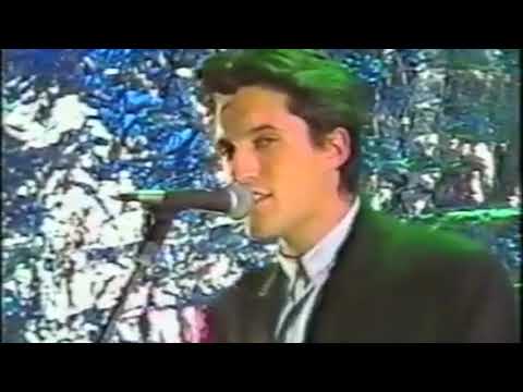 Dolphin Brothers: Second sight