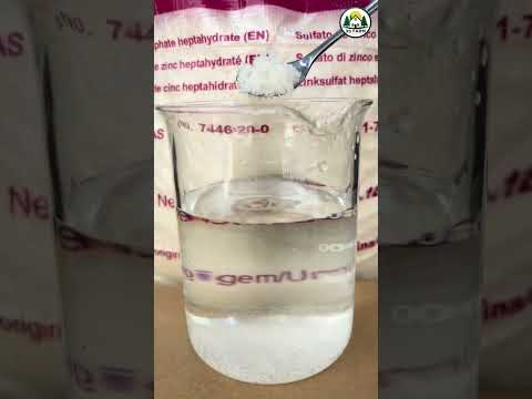 Video Phân Kẽm Sunfat – Biến Vàng Thành Xanh
