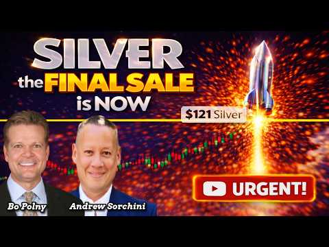 Silver's FINAL SALE is NOW!! Bo Polny, Andrew Sorchini