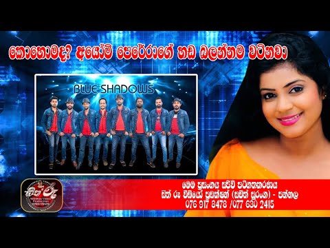 කොහොමද? අයෝමි පෙරේරාගේ හඩ බලන්නම වටිනවා / Ayomi Perera With Blue Shadows / Blue Shadows Live Show