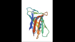 Ionic Bonds in Biomolecules.
