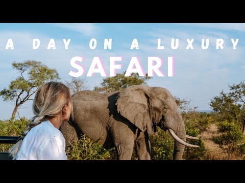 What a day on a luxury safari looks like | Sabi Sabi Earth Lodge, Africa