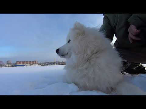 Рассказ рыбака.  Diary of a fisherman