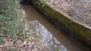 preview picture of video 'GRS vlog: Staunton Country Park 15th March 2014'