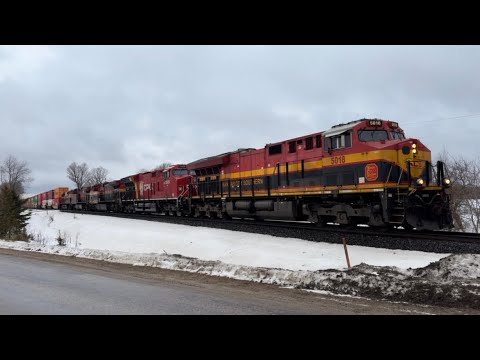 A Train a Day Keeps the Doctor Away! | A late Night Grainer and an Early Morning Container!