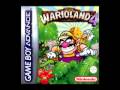 Wario Land 4 Final Boss Golden Diva