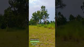 Download lagu Singing Birds in their own Habitat, love nature.........     |walk, travel & explore| #travelogue mp3