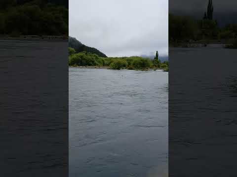 Golondrinas en el RIO AZUL de #primavera 2023 #nature #short #nofilter #patagoniaargentina #relaxing