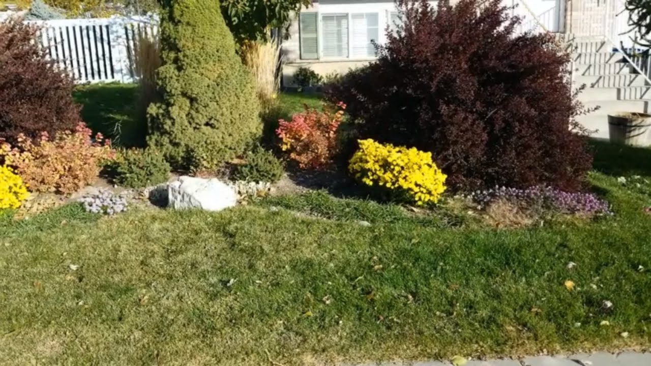 Landscape Design Tips for Beginners, Site Analysis