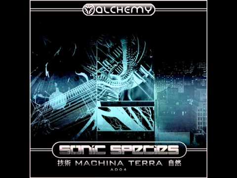 Sonic Species - Infinity (Original Mix)