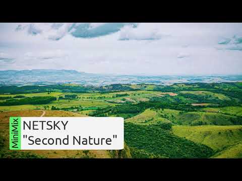 Netsky Second Nature MiniMix (Hospital Records) - DNB Mix