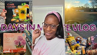 VLOG | Two Days In My Stay-At-Home Mom Life | Aldi's Shop With Me | Busy Mom of 3 & Homemaker
