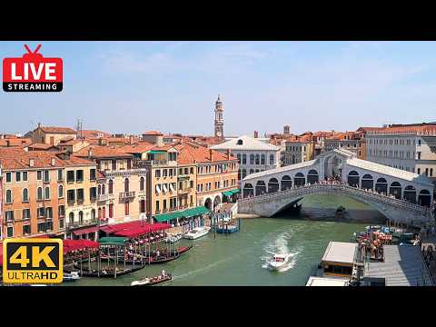 Rialto Bridge thumbnail