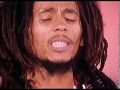 Bob Marley - Positive Vibration (Live at TopPop TV Netherlands, 1976)
