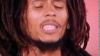 Bob Marley - Positive Vibration (Live at TopPop TV Netherlands, 1976)