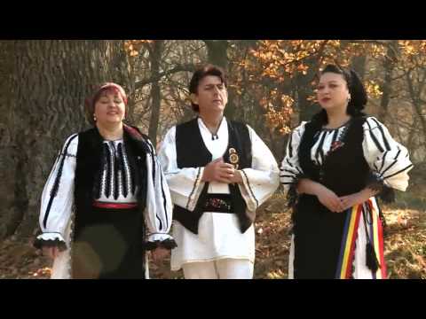 Liviu Dascal si Grupul Tarnavele   De cand s o dus badita