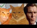 Cat Mewing 🗿(Looksmaxxing) meme