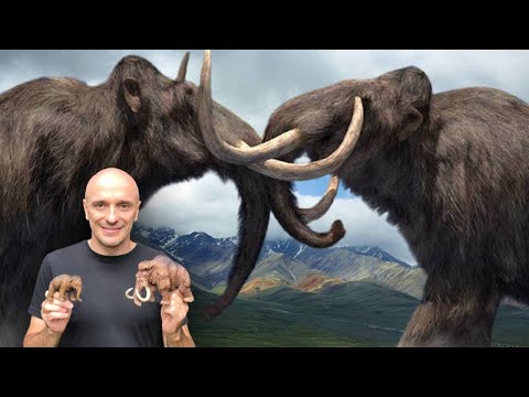 MAMUTE - O REI DA ERA DO GELO! POR QUE ESSE GIGANTE DESAPARECEU? ELE SERÁ CLONADO? VAMOS VER MAMUTES