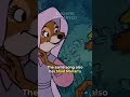 Did You Know In ROBIN HOOD