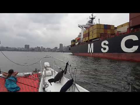 CATAMARAN WHARRAM  SV ALIIKAI