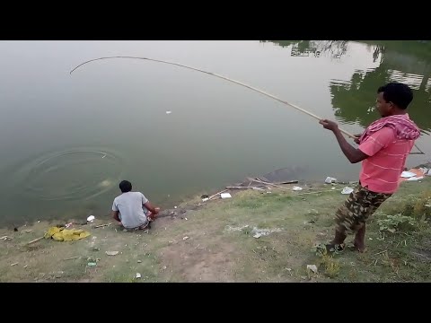 Hand stick fishing at pond || west bengal || india