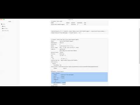 Kubernetes Debugging: Ephemeral Containers