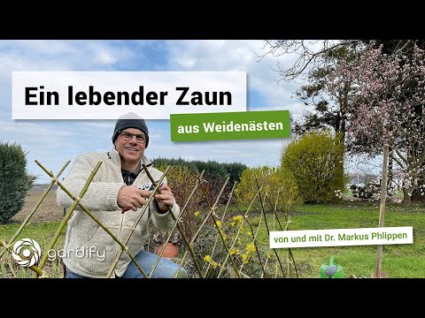 , title : 'Lebender Weidenzaun – schnell selbst gemacht | gardify Tipps'