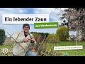 Lebender Weidenzaun – schnell selbst gemacht | gardify Tipps