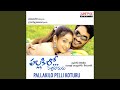 Pallakilo Pelli Kothuru