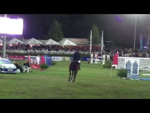 Philipp Schulze - Con Narcos "Helmut" v.Contendro ll 8/jähr.