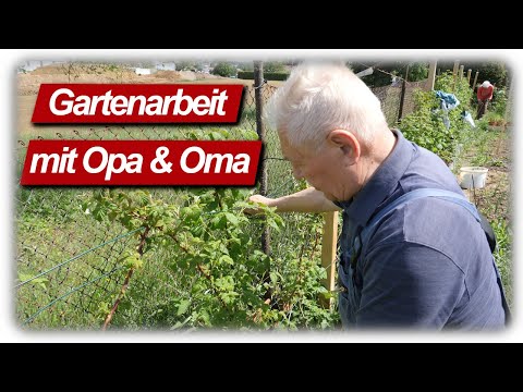 Gartenarbeit Mai mit Opa & Oma im Gemüse Garten | Morchel Wahnsinn