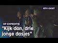 Dorien gaat met toeristen op das-safari | RTV Oost