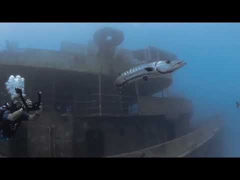 Video Review of the SeaLife SL740 DC2000 Digital Camera - 20MP