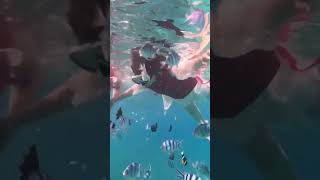 Travel Vietnam and Experience Diving #vietnamtours #vietnamdailytravel #nhatrang