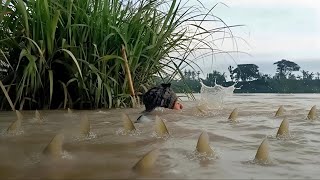 Download lagu The River Overflowed, This Man Was Shocked! His Trap Was Full of Over a Sack of Fish 😱 mp3