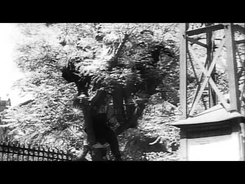 Portuguese President Francisco Lopes receives most colorful welcome in Spain. HD Stock Footage