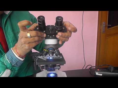 How to Get Best Result Focusing in Binocular Microscope