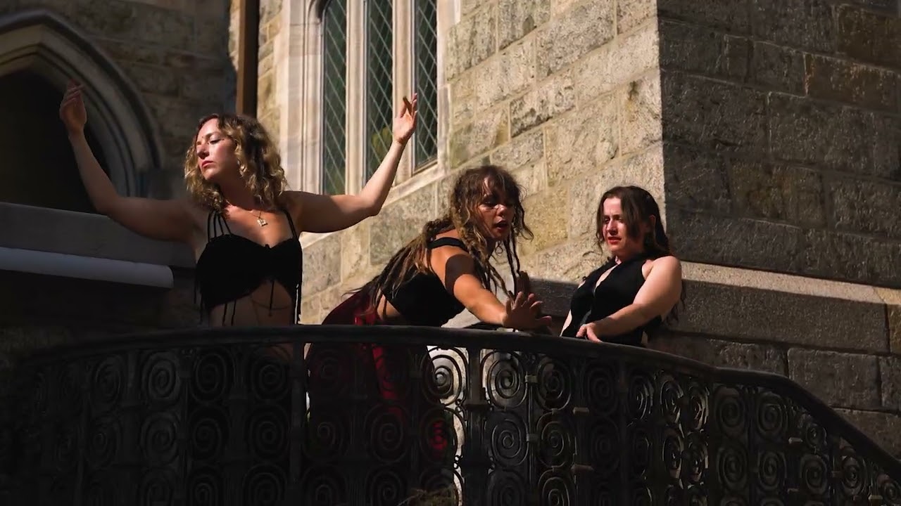 Promotional video thumbnail 5 for Dragon Dancing