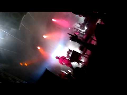 Donots Live at Rock The Docks