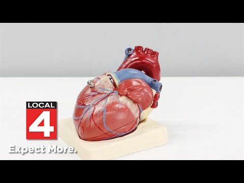 Understanding high blood pressure, its risks and treatments for heart health