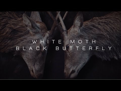White Moth Black Butterfly - Atone (album teaser)