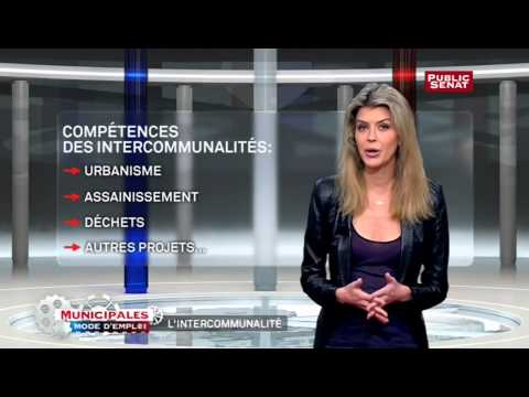 Municipales, mode d'emploi - L'intercommunalité