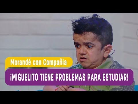 ¡Miguelito tiene problemas para estudiar!   Morandé con Compañía 2018