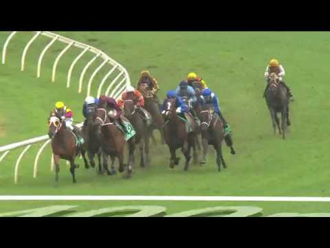 2017 Chipping Norton Stakes