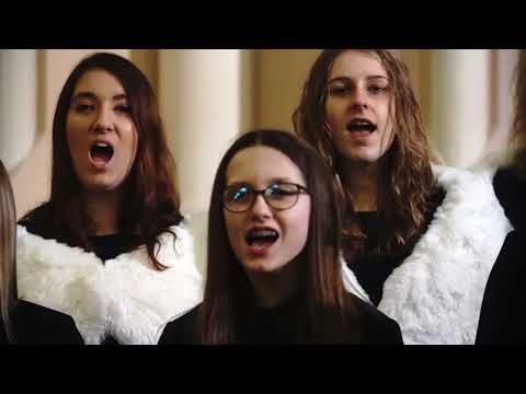 Hola, hola pasterze z pola - HARMONICA