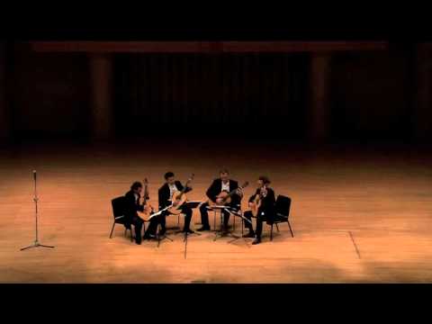 Baltic Guitar Quartet: Fenestrae - Chris Ruebens