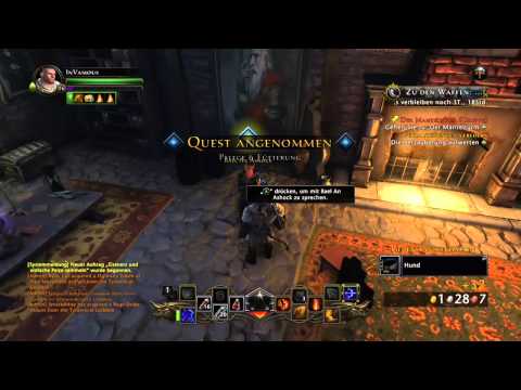 Neverwinter | Gefährten hilfe