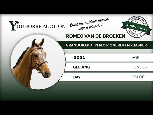 Romeo van de Broeken
