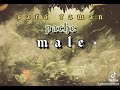 Pache Male By Sararaman Upcoming Song 2024