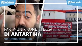 Fakta Kondisi Desa di Antartika, Dokter Ceritakan Warga yang Ingin Tinggal Wajib Operasi